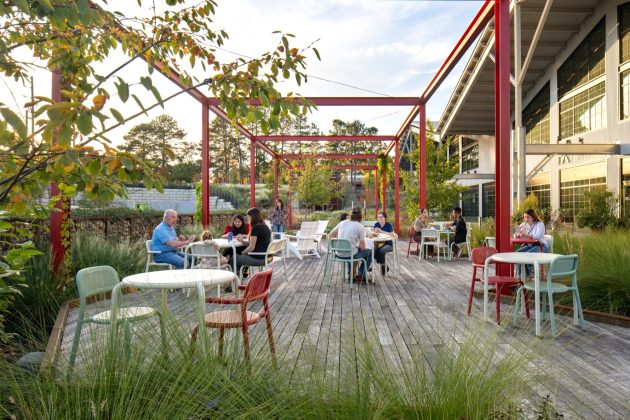 Raleigh Iron 中国123赛车体彩网官网查阅最新历史记录
 Landscape Architecture