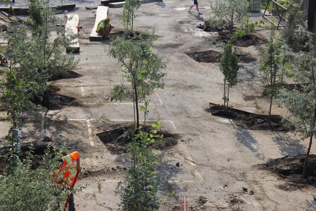 Folly Forest by Straub Thurmayr