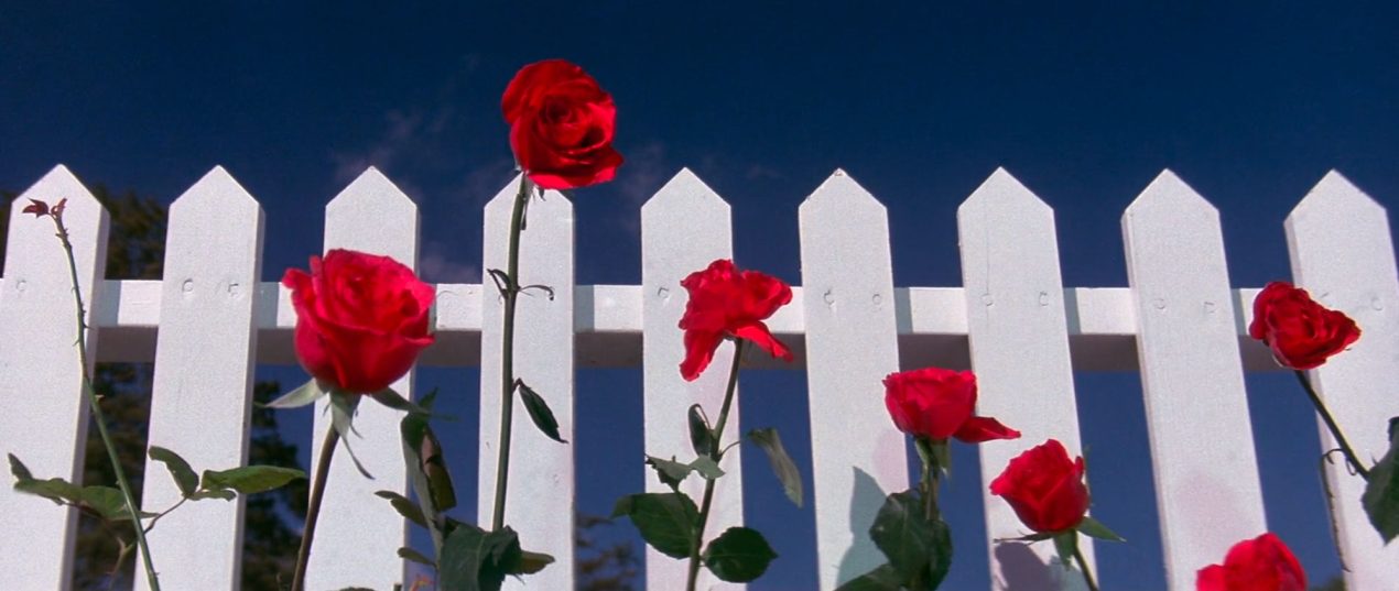 How Public Is Private? Aesthetics, Obligation, and the Ecology of Ownership