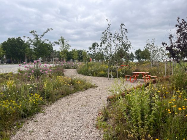 Succession Park Schwechat by Karin Standler Landscape Architecture