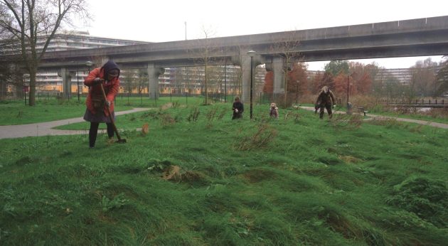 Debra Solomon: Multispecies Urbanism