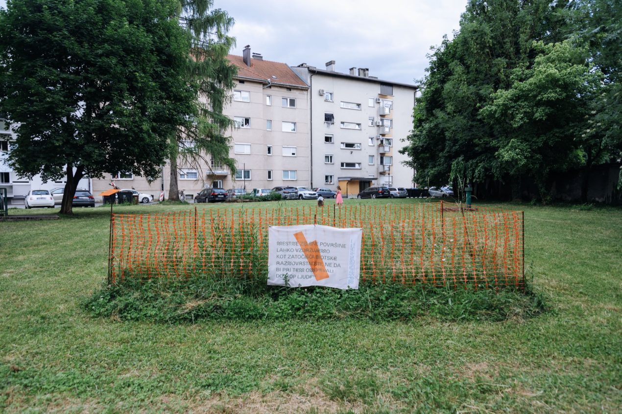 Krater Collective Crafts Biodiversity by Grazing Hands