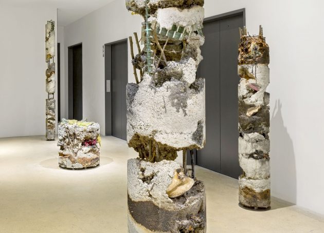 Sections of the Anthropocene