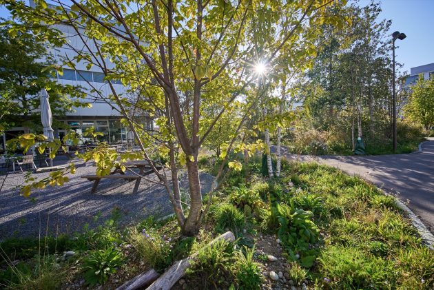 Innovation Campus DSM by Bryum