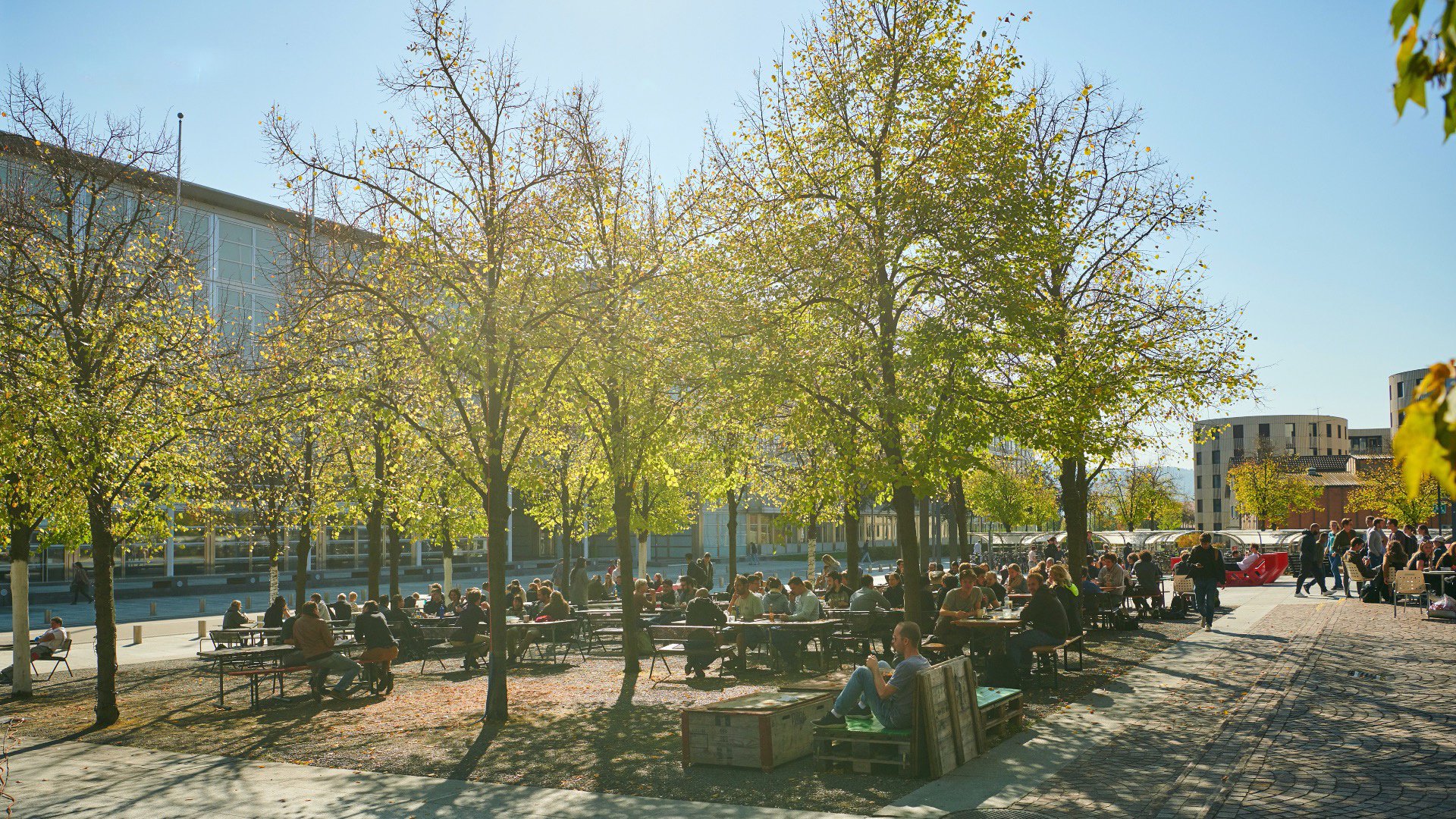 MSc in Landscape Architecture