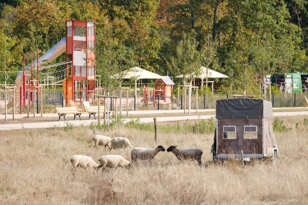 Rennbahnpark in Frankfurt am Main by BHMP