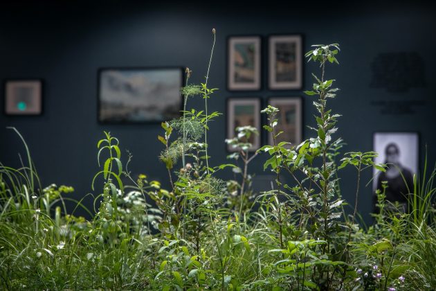 Before/During/After – Arsenal – Paris Pavilion by Wagon Landscaping