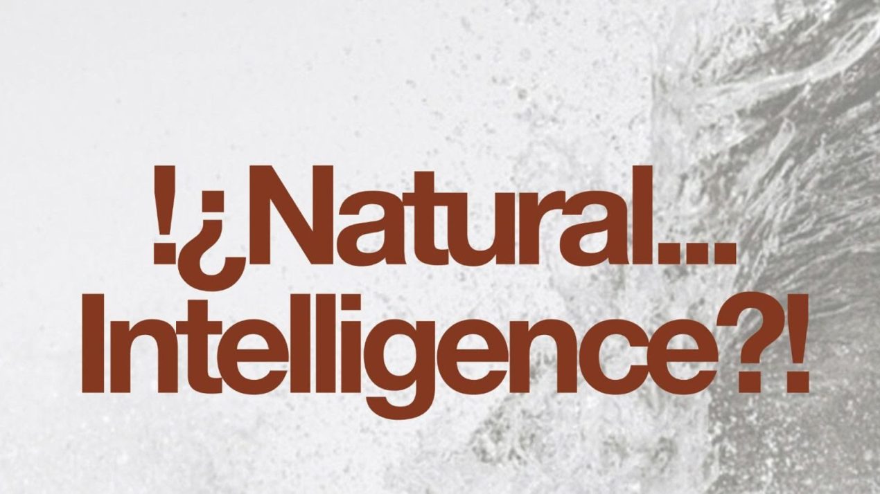 17-21 November / 13th Barcelona International Landscape Biennial