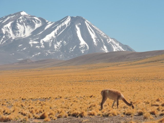 Can the Right to Landscape Bridge Socio-Environmental Challenges?