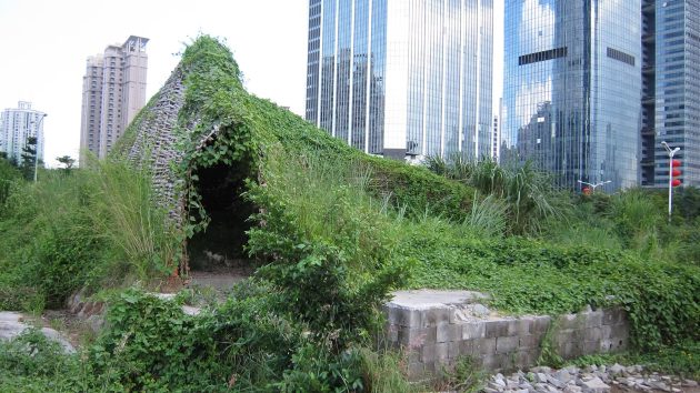 Office Profile: Casagrande Laboratory