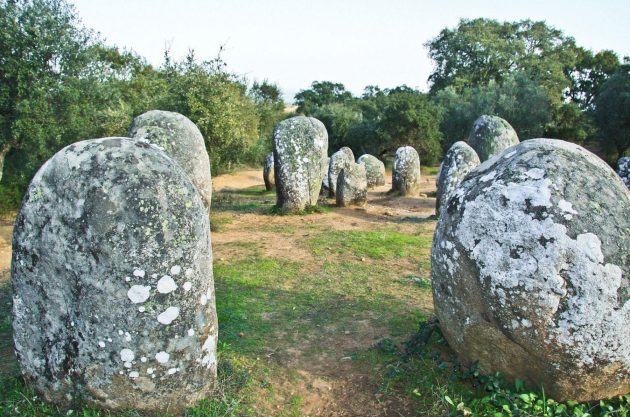 Expanding Landscape: Set and Surplus