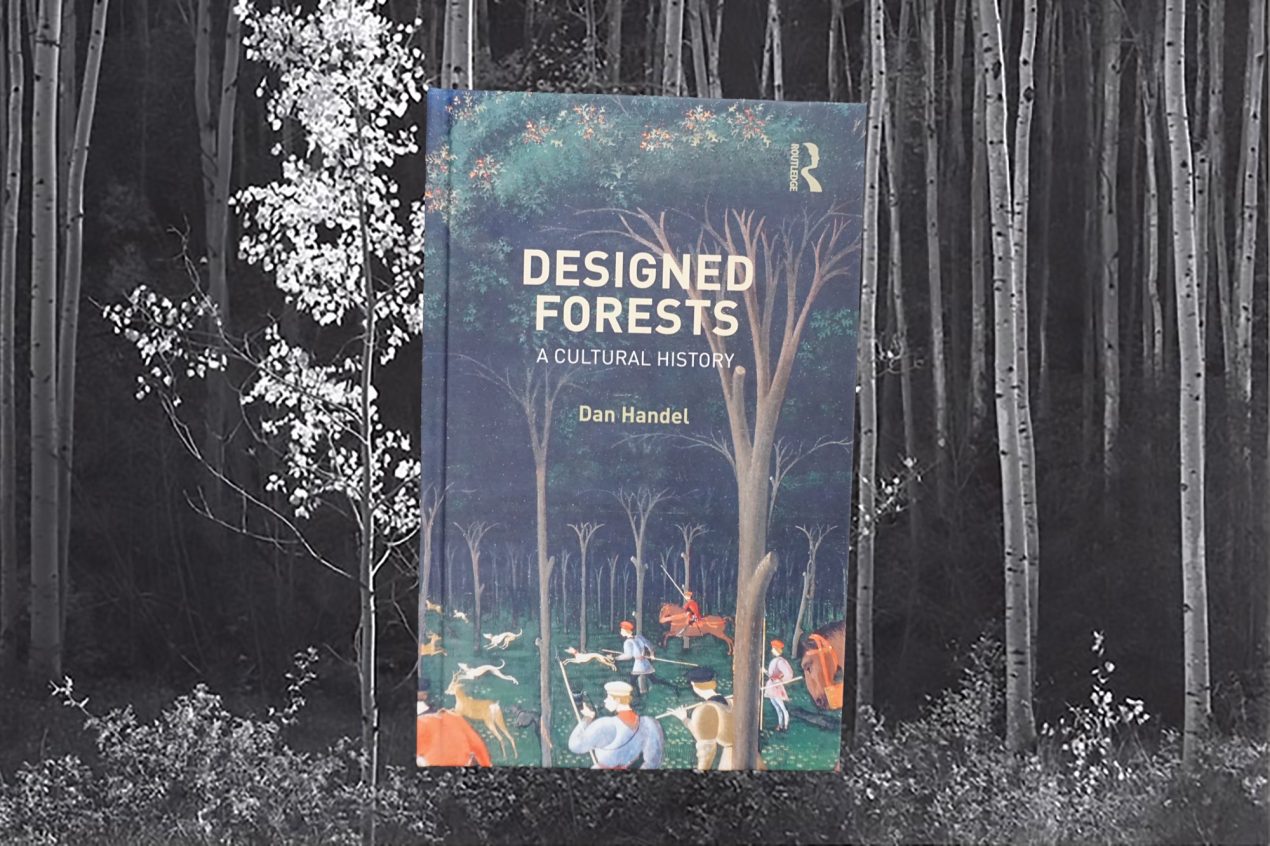 Clearing the Woods: Dan Handel on Forest Metaphors