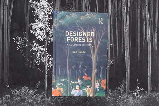 Clearing the Woods: Dan Handel on Forest Metaphors