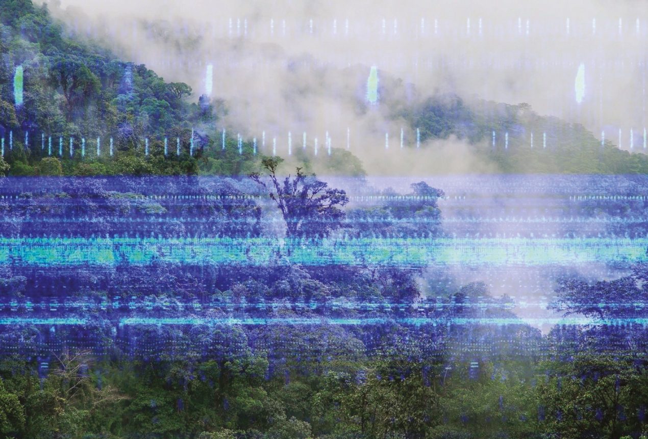 Soundscapes – International Landscape Study Days, 23.&24. of February in Treviso and Online