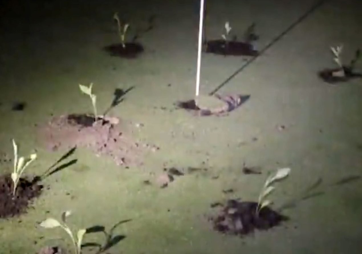 Climate Activists Sabotage Golf Courses in Spain Due to Water Consumption
