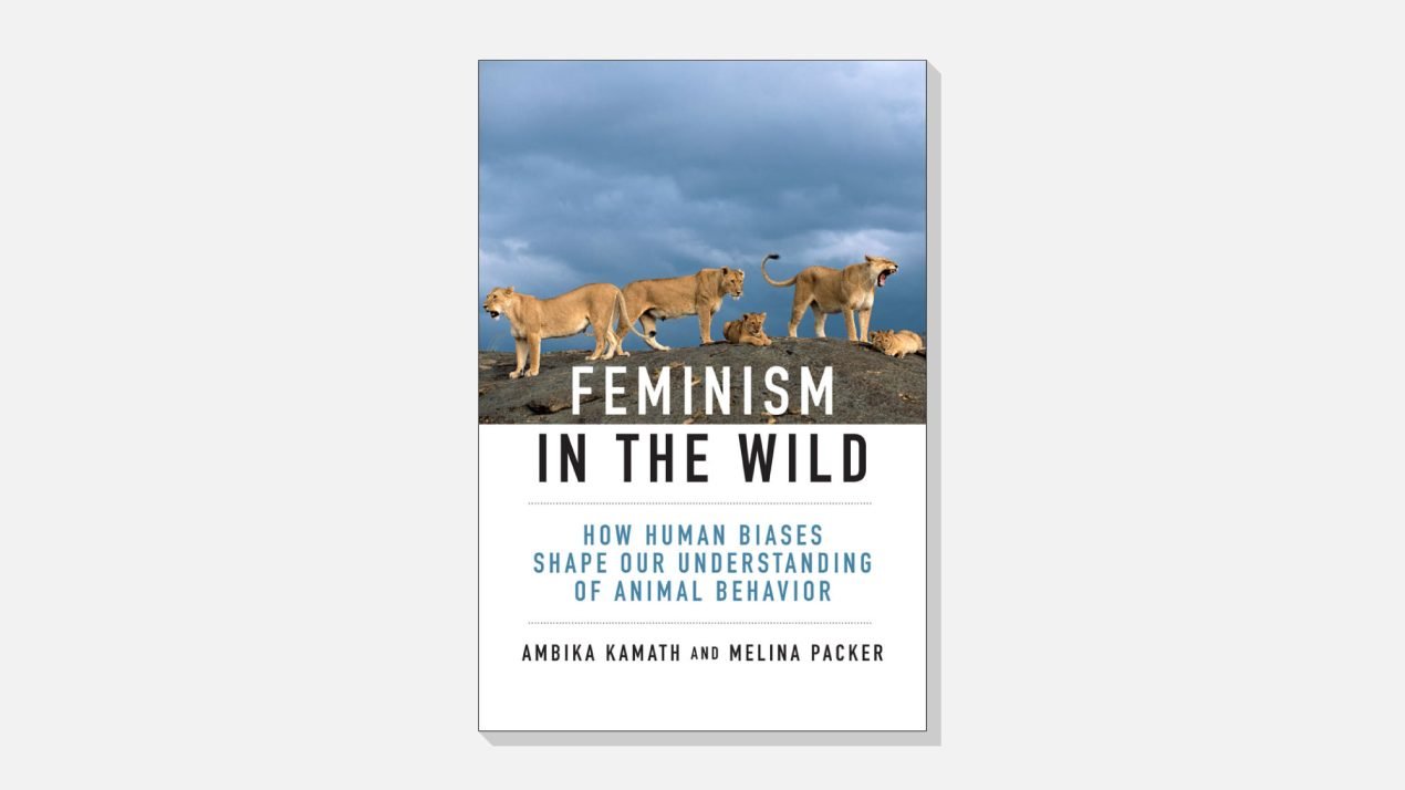 Feminism in the Wild: How Human Biases Shape Our Understanding of Animal Behaviour