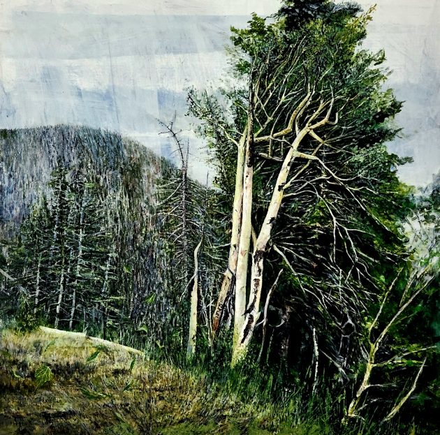 On Trees and Beasts, or How Ideas of Nature Shape Our Spaces