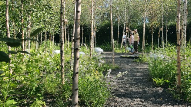 In The Eyes Of The Mother Earth