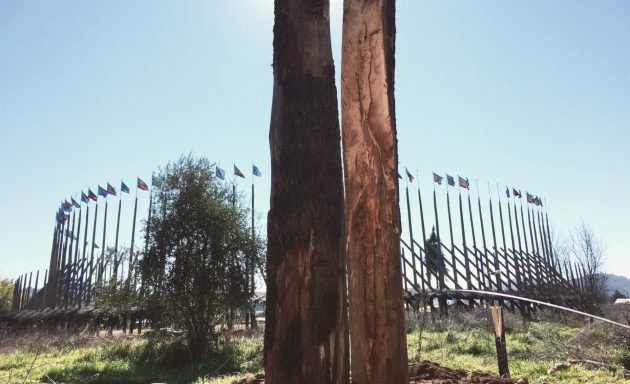 Künü – Koyaüwe by ELEMENTAL