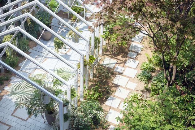 Little Forest Garden