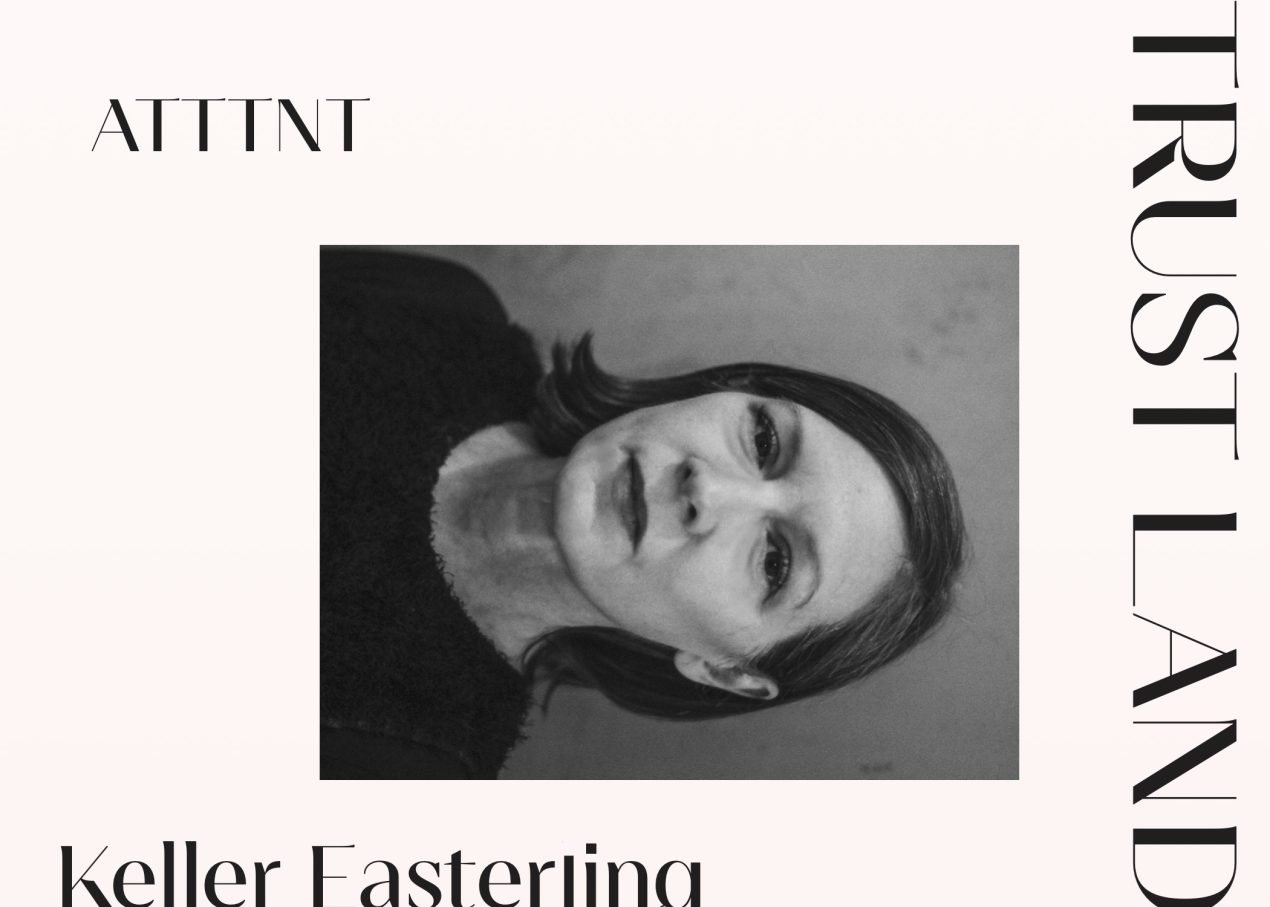 A Braid of Reparations: Reflections on Keller Easterling’s “ATTTNT”