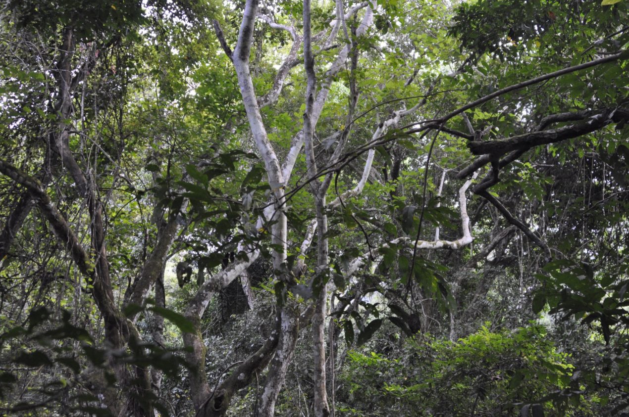 Responding to the Land: The Landscape Studio