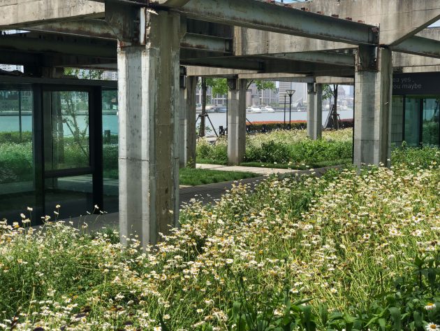 Shanghai MOMA Museum Waterfront Park by YIYU design