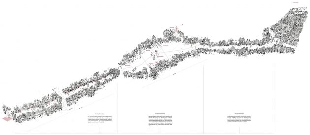 The Symbiotic Matorral by Pasini Garza Ramos Rosas