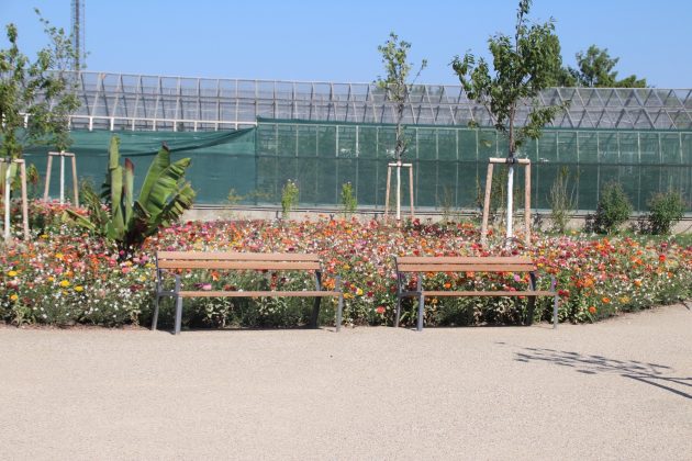 Celebrating La Strada Amidst a Garden in Bloom