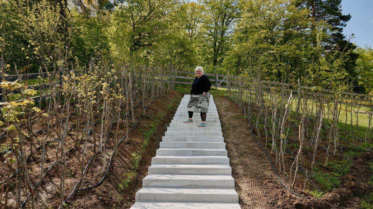 Betania Garden – Rich and Detailed Composition With Minimum Amount of Moves