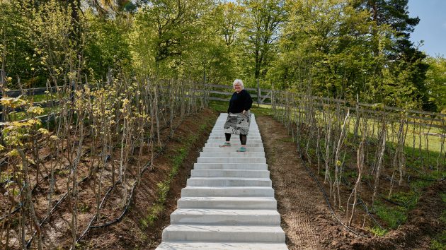 Betania Garden – Rich and Detailed Composition With Minimum Amount of Moves