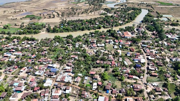 Forest Urbanisms: New Non-human and Human Ecologies for the 21st Century by Bruno De Meulder and Kelly Shannon