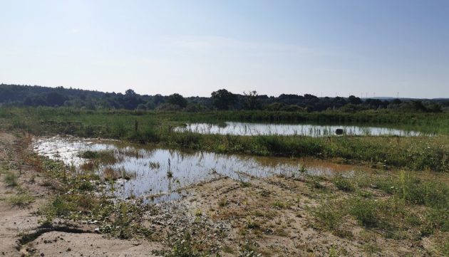 Restoration of Sand and Gravel Pits in Lübeck-Kücknitz by TGP