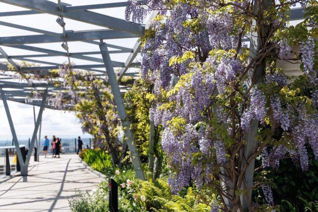 Fenchurch Avenue Roof Garden by LUC